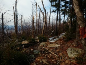 2016-02-28 05.03.48 1