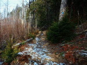 2016-02-28 05.03.51 1