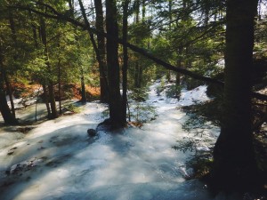 2016-02-28 05.04.23 1