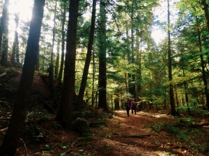 2015-10-04 06.32.39 1