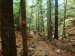 2015-10-04 06.32.42 1