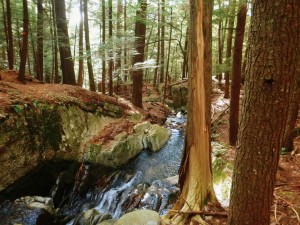 2015-10-04 06.32.45 1