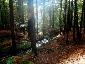 2015-10-04 06.32.47 1