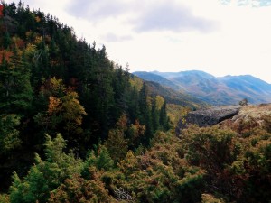 2015-10-04 06.33.04 1