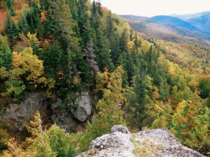 2015-10-04 06.33.06 1