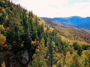 2015-10-04 06.33.20 1 