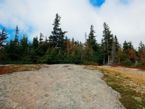 2015-10-04 06.33.44 1 