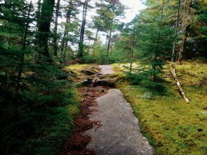 2015-10-04 06.34.04 1 