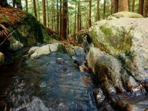 2015-10-04 06.34.17 1 