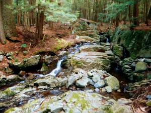 2015-10-04 06.34.23 1 