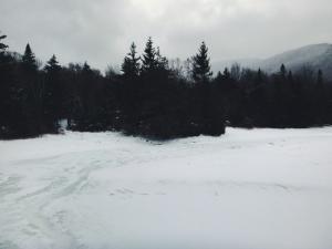 2016-01-03 10.50.16 1  