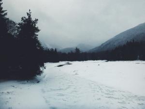 2016-01-03 10.50.20 1  