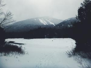 2016-01-03 10.50.24 1  