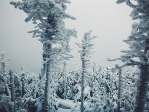 2016-01-03 10.50.34 1  