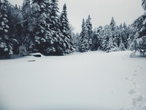 2016-01-03 10.50.47 1  