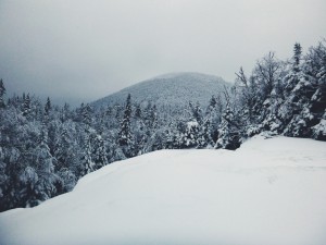 2016-01-03 10.50.52 1  