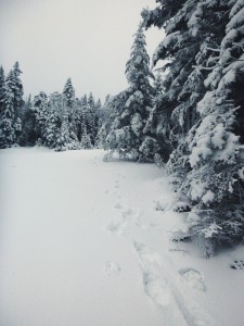 2016-01-03 10.50.55 1  