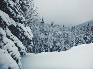 2016-01-03 10.51.01 1  