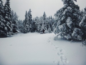 2016-01-03 10.51.05 1  