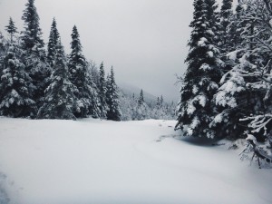 2016-01-03 10.51.09 1  