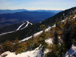 2016-03-13 09.58.29 1