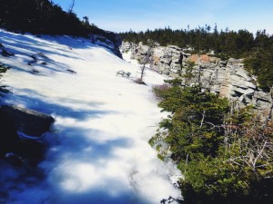 2016-03-13 09.58.45 1