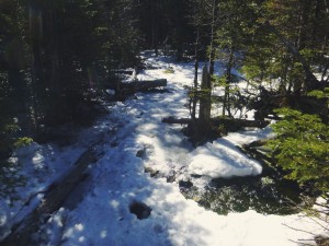 2016-03-13 09.59.10 1