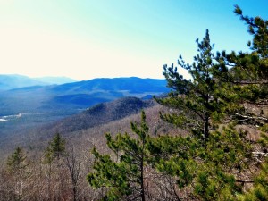 2016-03-13 09.59.29 1