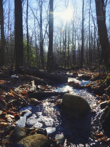 2016-03-13 09.59.37 1